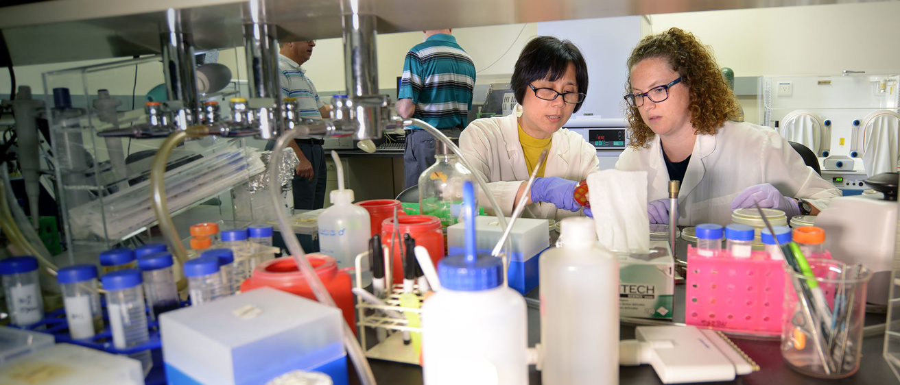 Researchers working in a lab